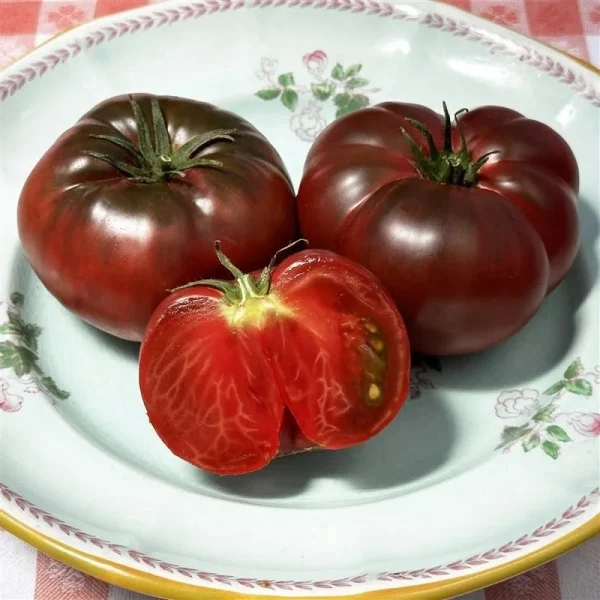 hạt giống cà chua đen