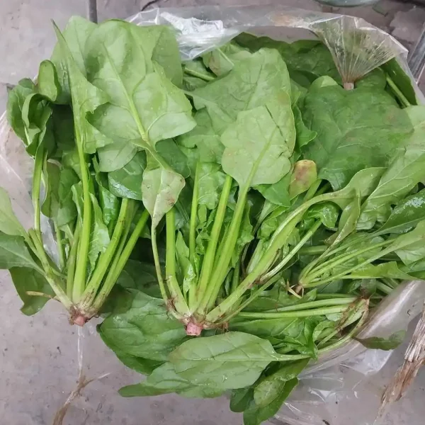 hạt giống,hạt giống rau,hat giong,hat giong rau