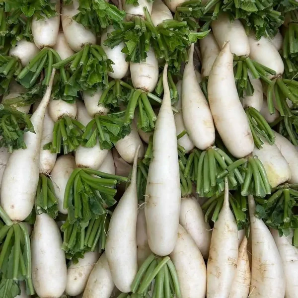 Hạt giống củ cải trắng