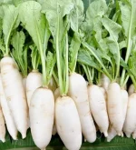 Hạt giống củ cải trắng