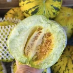 hạt giống dưa bở