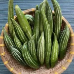Hạt giống lặc lày